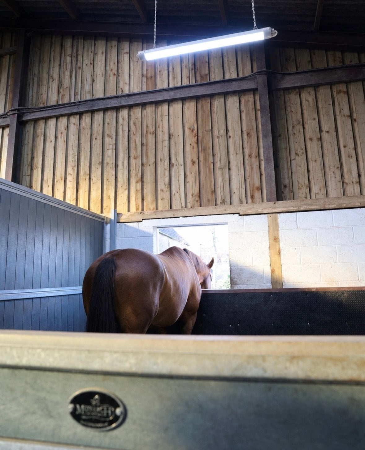 Think HorseLight Is Only for Winter? Think Again.