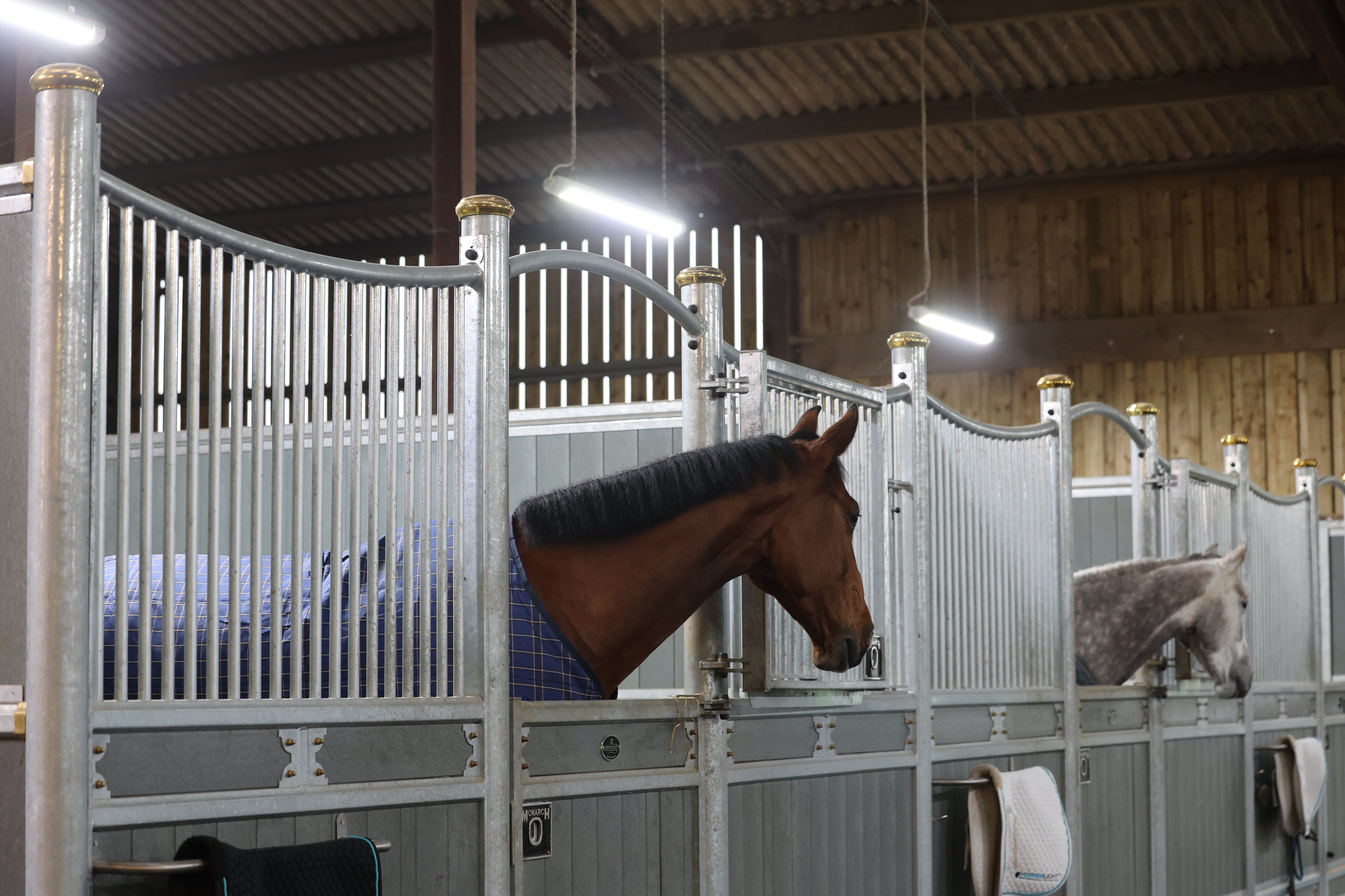 HorseLight Advanced - Therapeutic Stall Lighting System