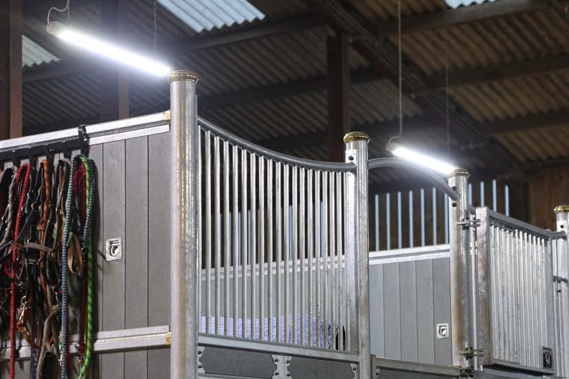 Therapeutic Barn Lighting in Stall