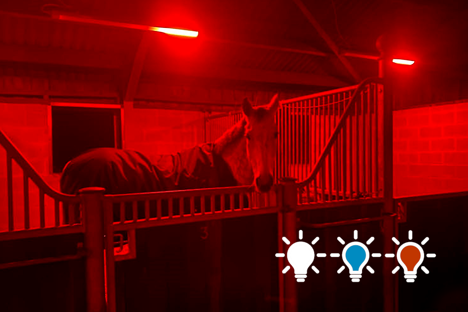 HorseLight Advanced - Therapeutic Stall Lighting System