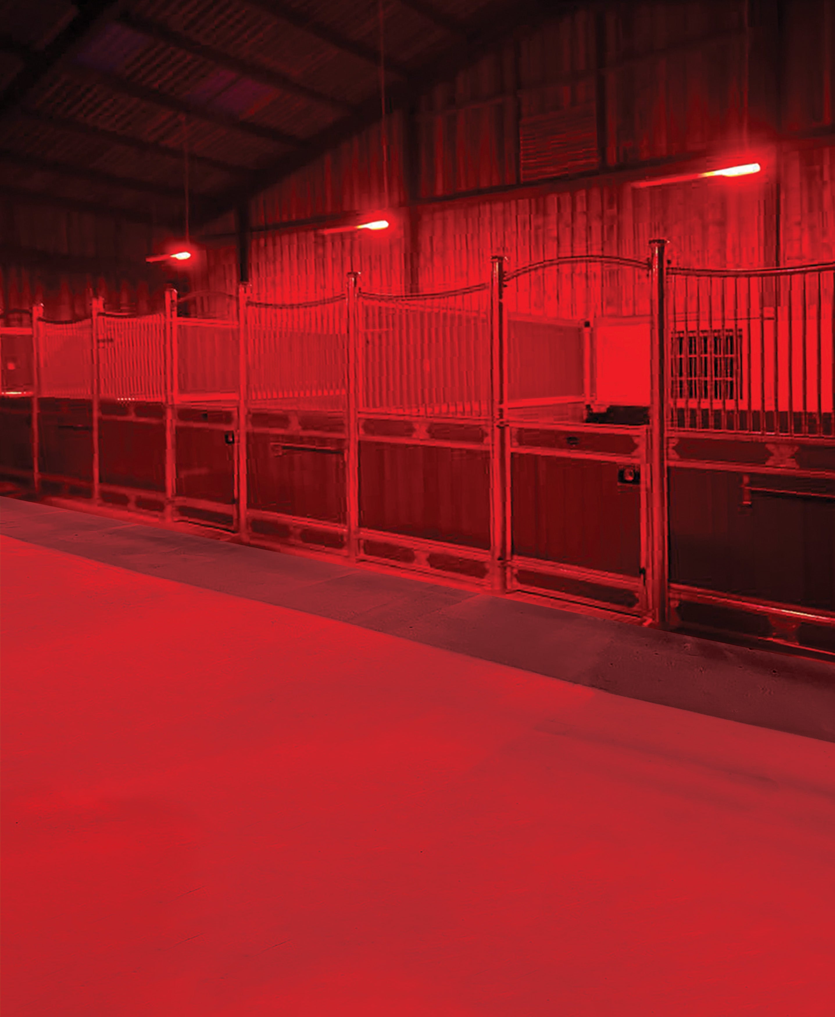 HorseLight Advanced - Therapeutic Stall Lighting System
